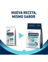 Comida para Gatito ADVANCE Kitten Pollo y Arroz 10kg